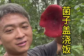 菌子盖浇饭！ 今天上山干活，捡了一些红菌，今天搞一个菌子盖浇饭，简直后脑勺都香透了！#谁家没点土特产 #舌尖上的抖音 #农村生活 #农村美食视频封面