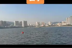 #玄学 #玄学文化 #科学尽头尽是玄学 #懂的人自然能听懂视频封面
