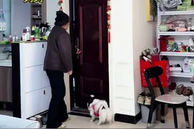 老公喝晕回家找事。儿子挺身而出保护，女人一定要生儿子不是重男轻女，而是当有危险时有人护着你说："你动我妈试试"!#记录真实生活#夫妻#你家孩子也这样吗#暖心一幕