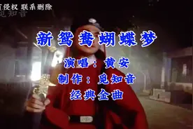 《新鸳鸯蝴蝶梦》黄安经典金曲；看似个鸳鸯蝴蝶不应该的年代视频封面