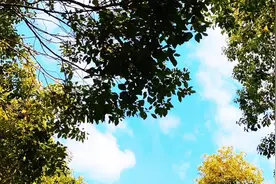 #抬头看看蓝调时刻的天空 #远离城市的喧嚣 #独处是一个人的清欢视频封面