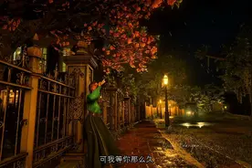 我不要你短暂的陪伴 我要你天南地北的思念 要你每个明天都在.视频封面