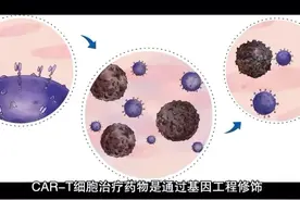 CAR-T疗法治疗流程#医学科普 #临床试验 #cart #细胞疗法视频封面