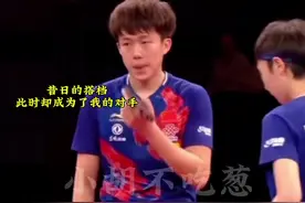 #王楚钦孙颖莎 考古 “离婚期”，纯属娱乐，仅供观赏。视频封面
