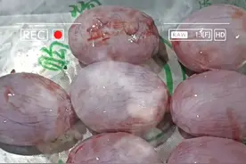 腰头腰皮羊宝羊鞭羊蛋都有视频封面