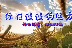 人间冷暖情贵珍，祝福牵挂最暖心。语短情长存大爱视频封面
