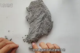 制作韩国立体地图，看大美济州岛#济州岛 #韩国 #地图 #地理知识视频封面