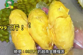 💰99吃三斤越南金腰榴莲太绝了！💰16.8的榴莲小金条