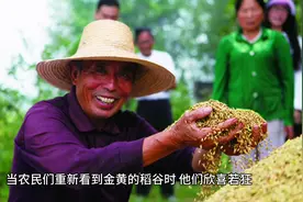 AI写的小故事并自动生成的视频，人脑都不用动了#人工智能视频封面