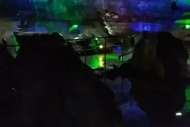 林屋洞观娃娃鱼图片