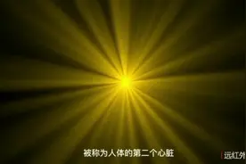 给大家普及一下远红外线对身体的作用视频封面