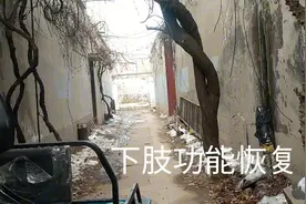 一个残疾人一群狗，独居分享个人控糖，减脂，康复锻炼的成长过程视频封面