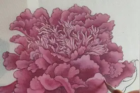 大花瓣，倒提蛤粉十牡丹红(一丟丟)。白粉十红为粉色视频封面
