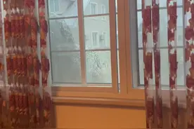 一夜之间，这座城市下雪了，很冷，昨天的秋景秋色秋意浓视频封面