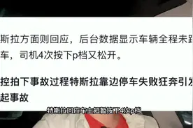 特斯拉刹车失灵，P挡紧急制动你真的要学会视频封面