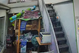 这狗坚强的，二楼跳下来摔断一条腿。手术后第三天视频封面