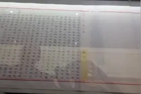 状元卷#第一甲第一名#小金榜#江南贡院视频封面