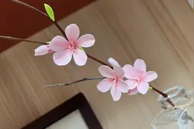 春天到了，一起做桃花吧#春天#桃花朵朵开 #超轻粘土 #制作过程视频封面