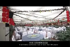 “山水之城·美丽之地”——走进牡丹樱花世界视频封面