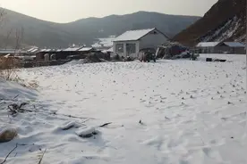 东北小伙花3万1买个带二亩地大院，拿出房产证，老家竟然比这还大视频封面
