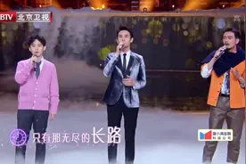 2020春晚，王凯杨烁董子健《再回首》，再回首惘然如梦视频封面