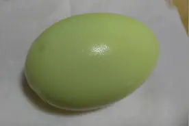 徐州小张花100块钱买的蛋，没想到煮好后变成了绿色的蛋视频封面