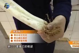 疫情期间，预防感冒，绝配搭档大葱，助你提高免疫力视频封面