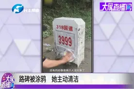 路碑被涂鸦，她主动清洁视频封面