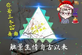 你若三冬(DJ版) 你若三冬来 换我一城雪白 漫天相思片片风中开视频封面