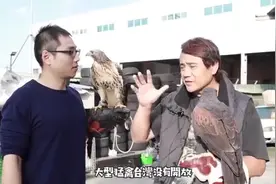 从零开始养鹰，它会跟狗狗一样乖巧吗？视频封面
