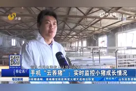 你买仔猪，合作社养！这种新型养猪模式真来了，在家坐着就能养猪视频封面