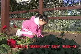 斑马线上的“鞠躬回礼小女孩”找到了 她叫唐一菲！视频封面
