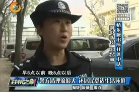 警方清理流浪犬 还居民舒适生活环境视频封面