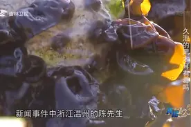 真相123：一盘木耳炒鸡蛋，为什么会导致女子中毒？来看这组实验视频封面