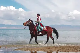 航拍青海湖：在那遥远的地方，藏族姑娘策马奔腾在金色花海，飒爽视频封面