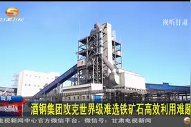 酒钢集团攻克世界级难选铁矿石高效利用难题视频封面