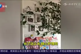 绿萝长满客厅！7个月没回家客厅变“植物园”！视频封面