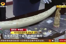 长沙海关打击野生动物及产品走私专项行动，聚焦重点渠道视频封面