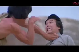 蛇拳+猫拳大战鹰爪擒蛇手视频封面