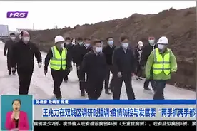 王兆力在双城区调研时强调:疫情防控与发展要"两手抓两手都要赢"视频封面