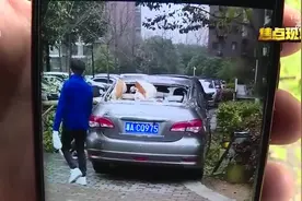 惨！长沙一小区阳台玻璃被狂风刮落，十余台小车被砸视频封面