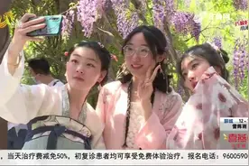 美翻了！龙口千年紫藤盛开，春风吹拂芳香四溢，放眼望去满目紫色视频封面