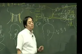 原来人是否聪明和这个骨头有关系