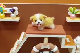 DIY 迷你狗狗宠物店，手工制作可爱的狗狗之家视频封面