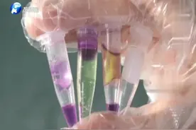 吓人！超萌起泡胶含有甲醛成分 千万别再玩视频封面