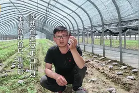 千元一斤的羊肚菌，一定要会挑选！视频封面