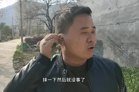 出门办事被蜜蜂蛰到耳朵，疼的要命，最后听大爷说用这个可以解毒视频封面