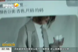 新型诈骗！女子上闲鱼卖二手衣服，一分没挣反被“客服”骗7000元