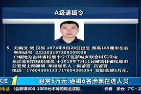 悬赏5万，欢迎举报！吉林省发布A级通缉令，公开通缉6名涉黑逃犯视频封面