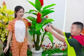 姐姐怎么拍照都不满意，还好弟弟过来帮她拍得很漂亮，谢谢他了视频封面